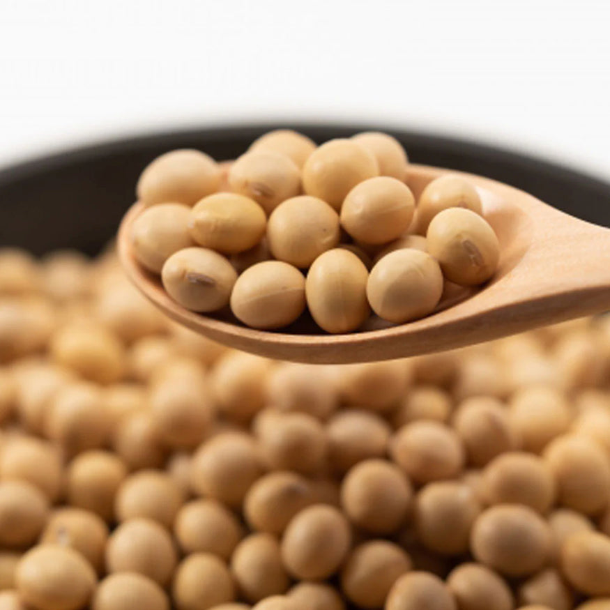 Reis KOJI and Japanese soy protein powder 300g